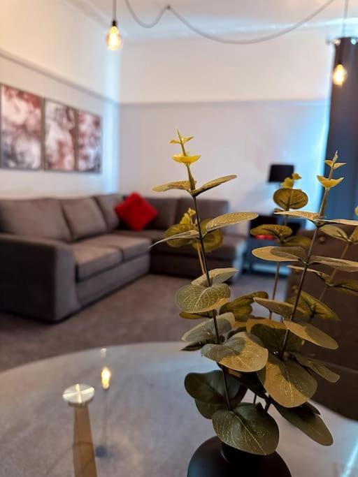 The Retreat - Large Luxury Apartment, Two Mins From * Bornemouth